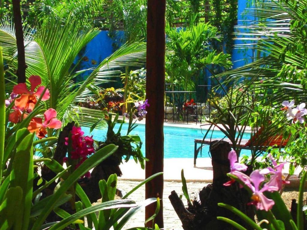 Alta Cebu Resort Eksteriør billede